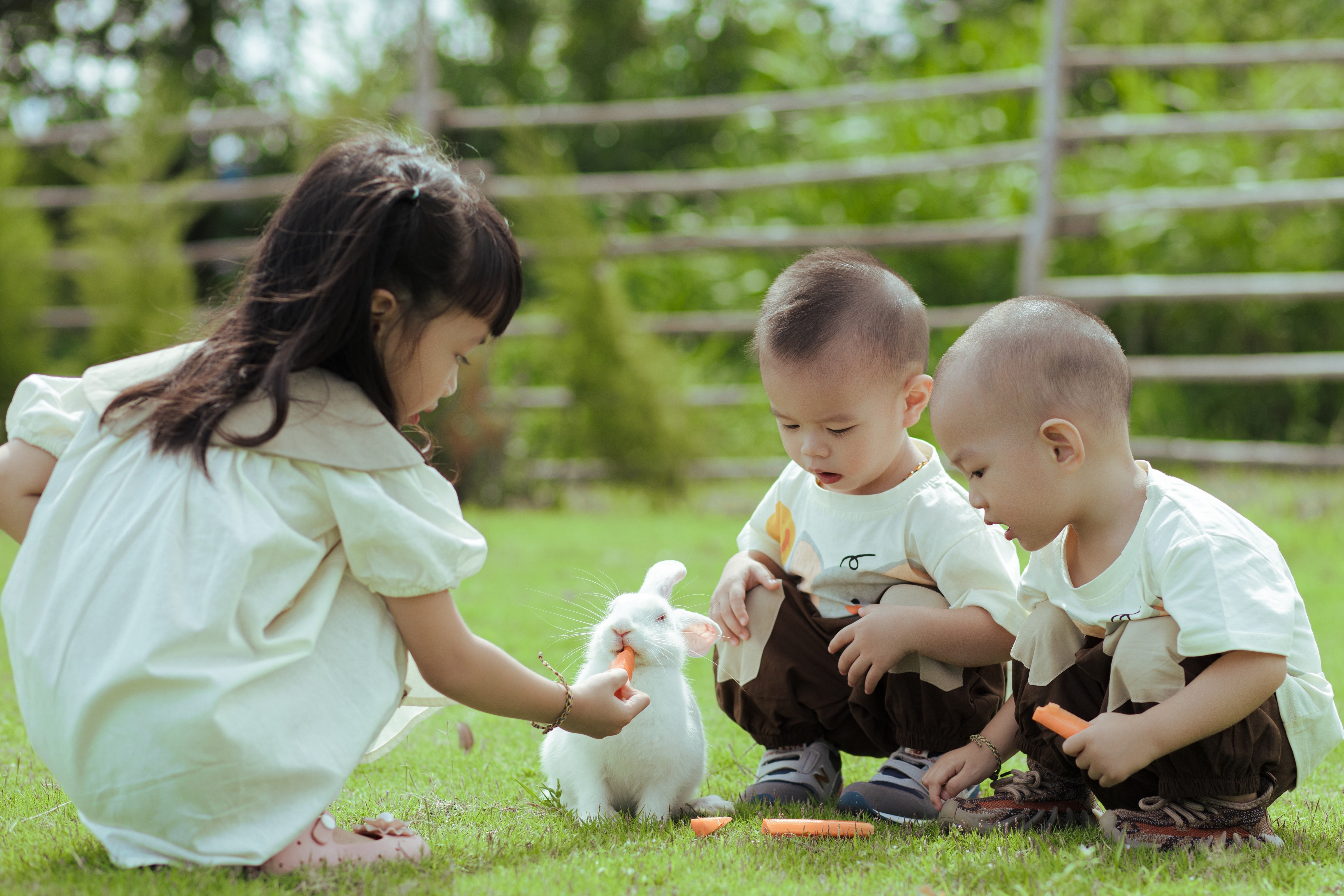 保育士と子どもたちが楽しく活動している様子